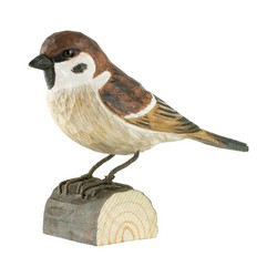 Tree Sparrow (wood)