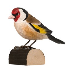 Goldfinch (wood)