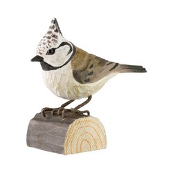 Crested Tit (wood)