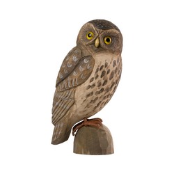 Little Owl (wood)