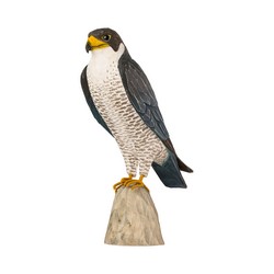 Peregrine Falcon (wood)