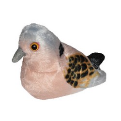 Turtle Dove (with sound)