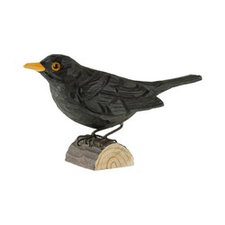 Blackbird (wood)