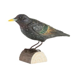 Starling (wood)