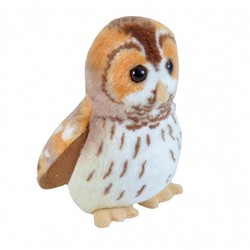 Tawny Owl (with sound)