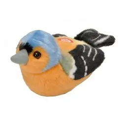 Chaffinch (with sound)