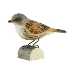 Dunnock (wood)