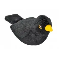 Blackbird (with sound)