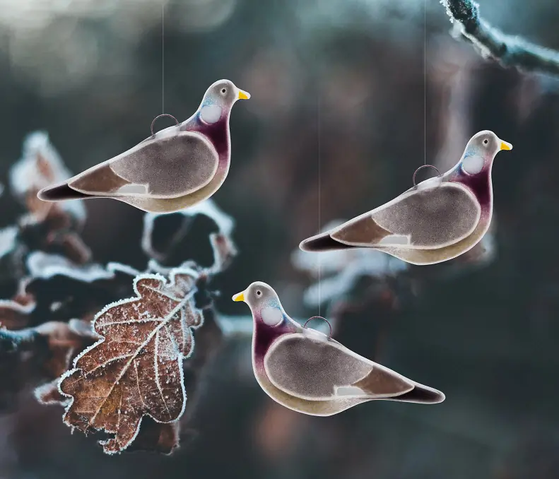 Wood-Pigeon (glass)