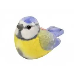 Blue Tit (with sound)