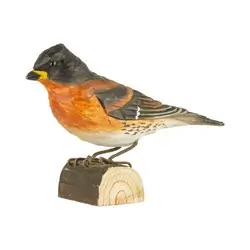 Brambling (wood)