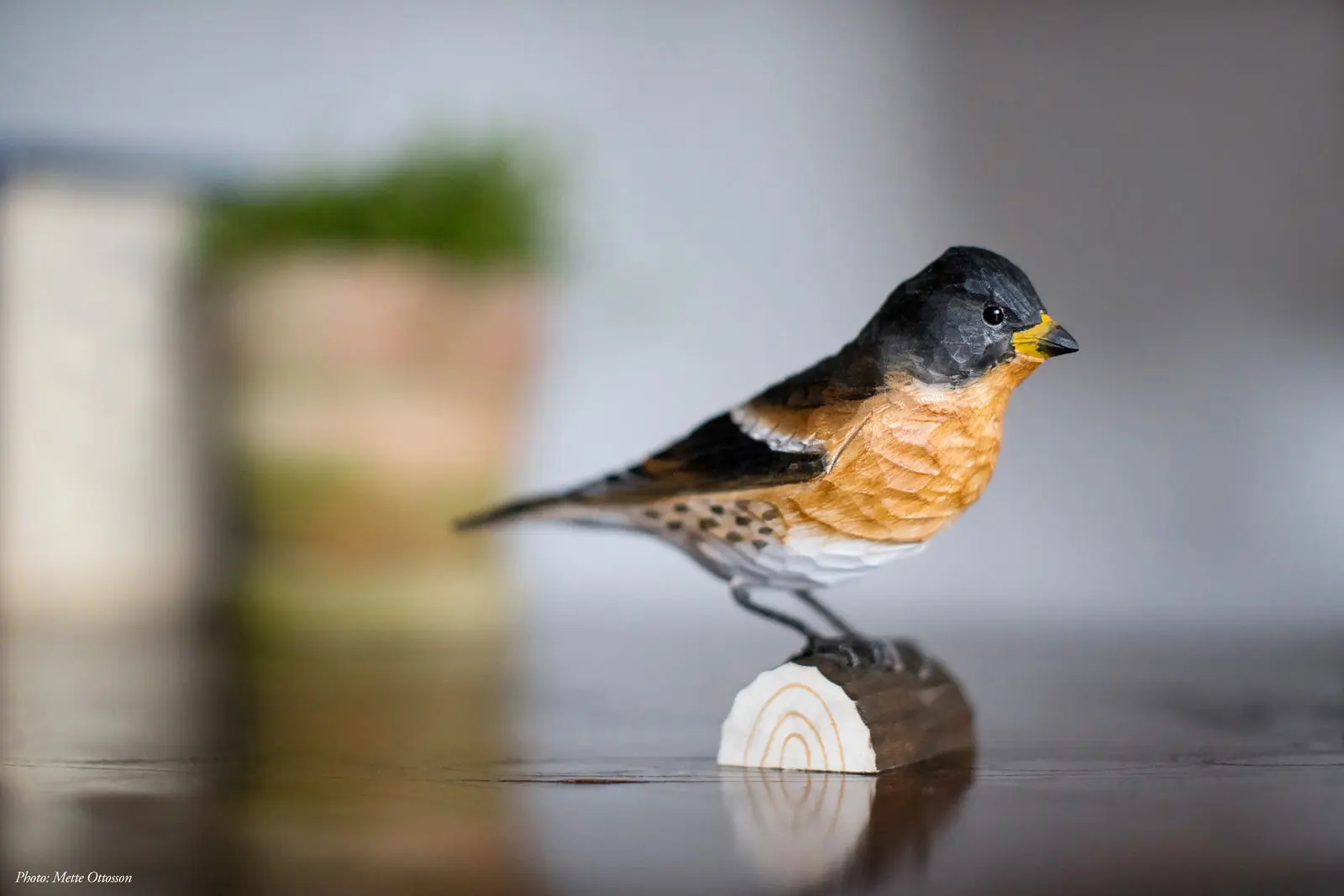 Brambling (wood)