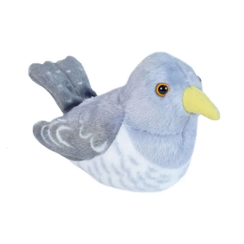Cuckoo (with sound)