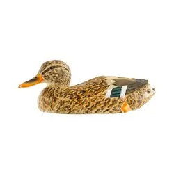 Mallard - female (wood)