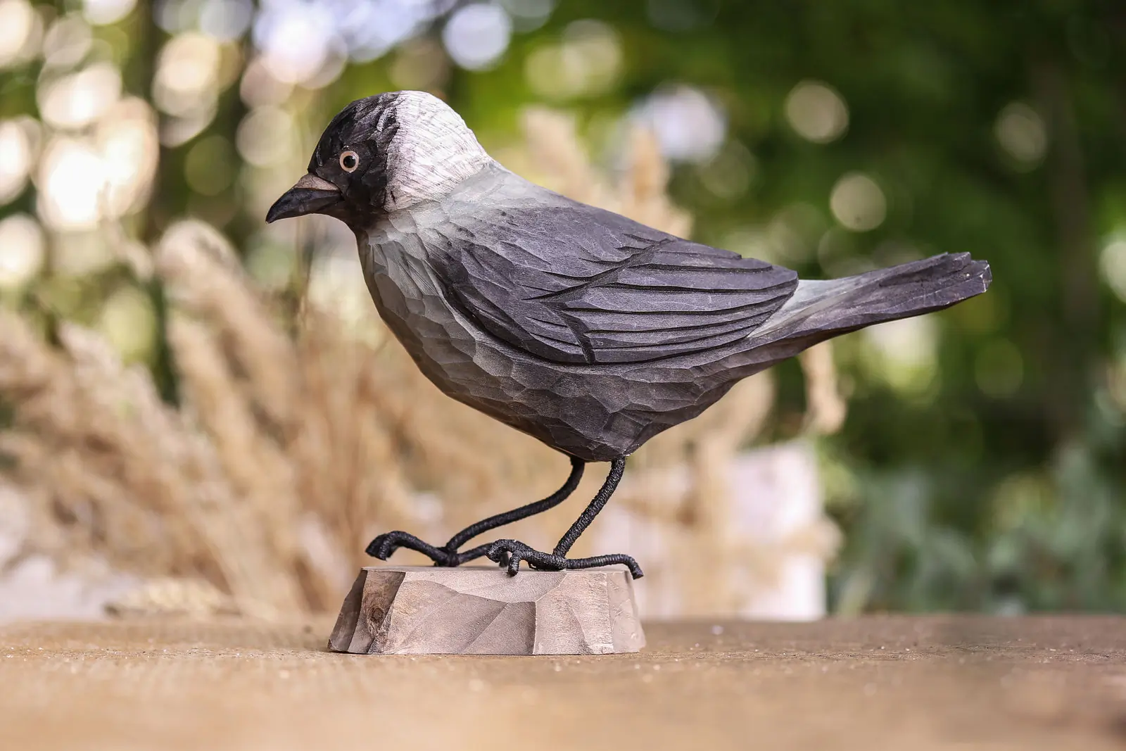 Jackdaw (wood)