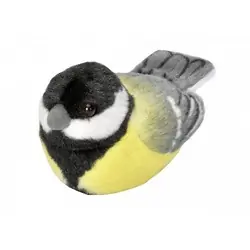 Great Tit (with sound)