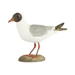 Black-headed Gull (wood)