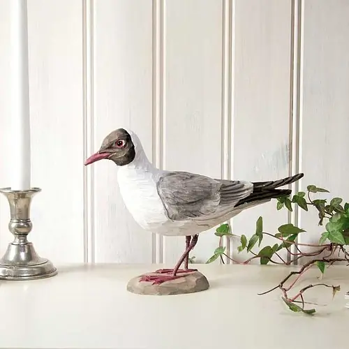 Black-headed Gull (wood)