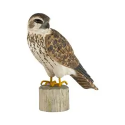 Merlin (wood)