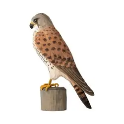 Kestrel (wood)