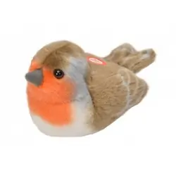 Robin (with sound)