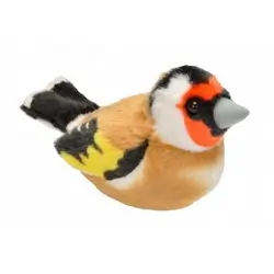 Goldfinch (with sound)