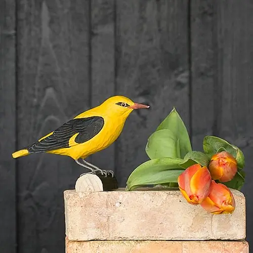 Golden-Oriole (wood)