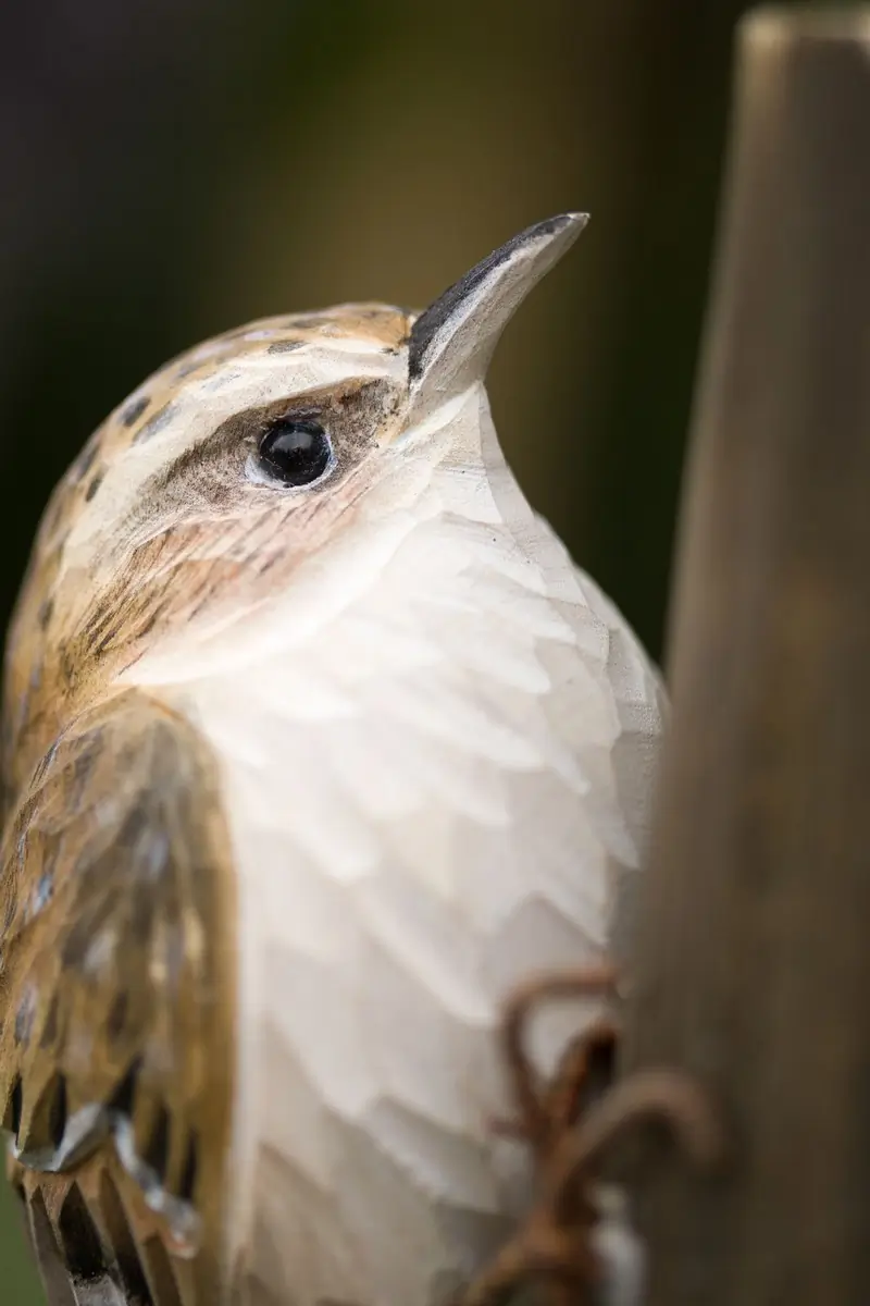 Tree-Creeper (wood)
