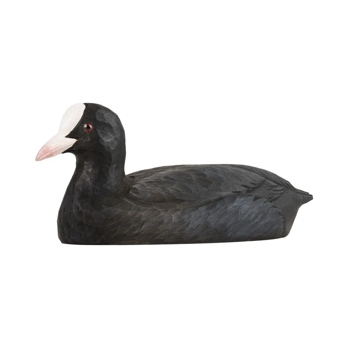 Coot (wood)