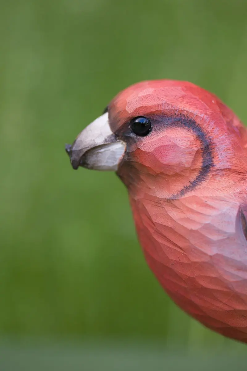 Red Crossbill (wood)