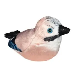 Jay (with sound)
