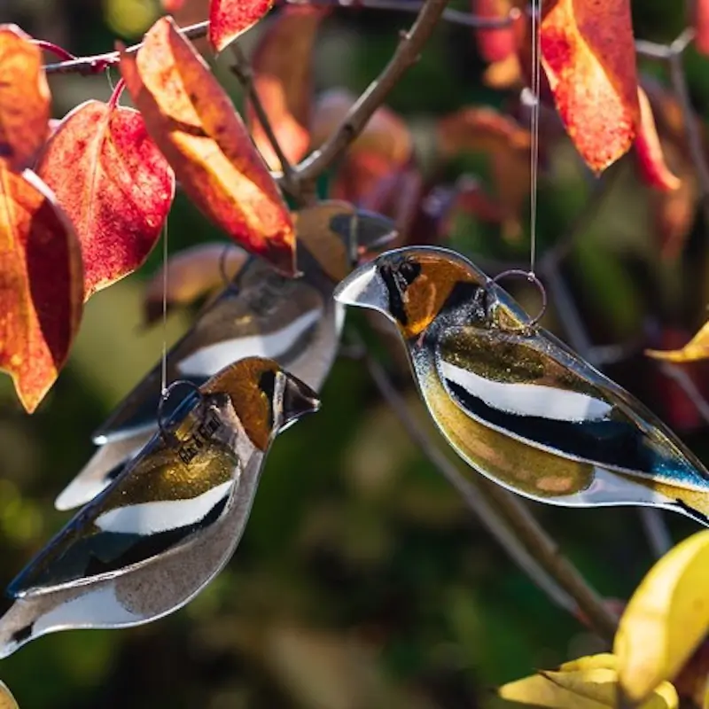 Hawfinch (glass)