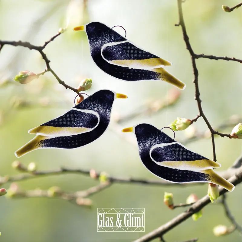 Starling (glass)