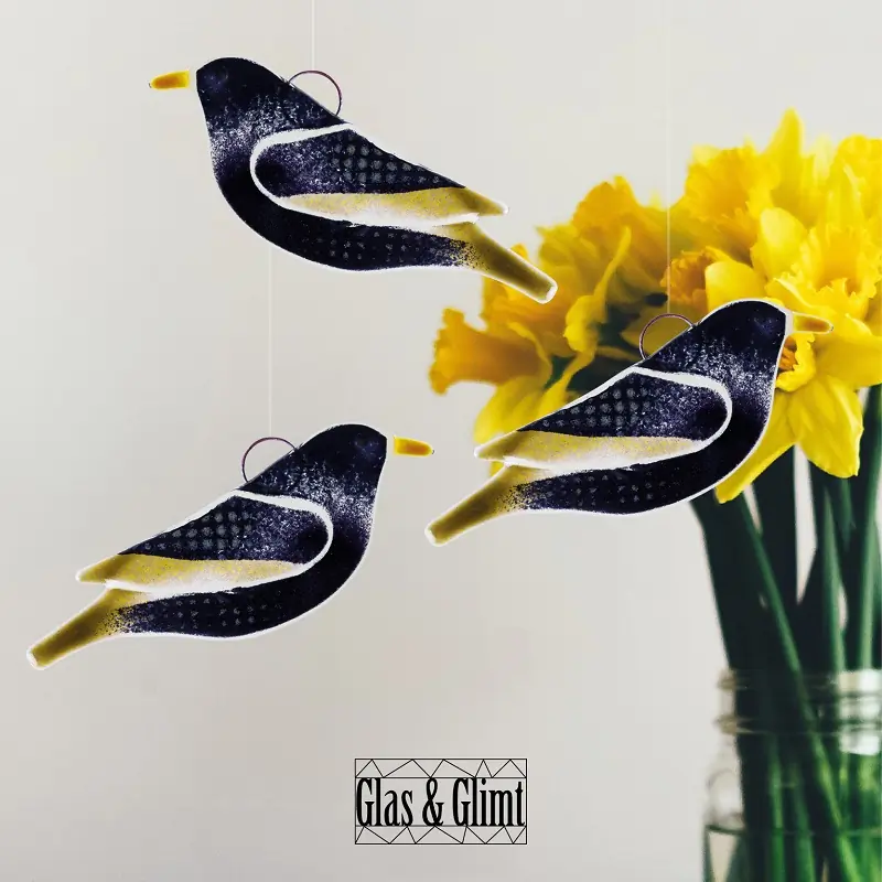 Starling (glass)
