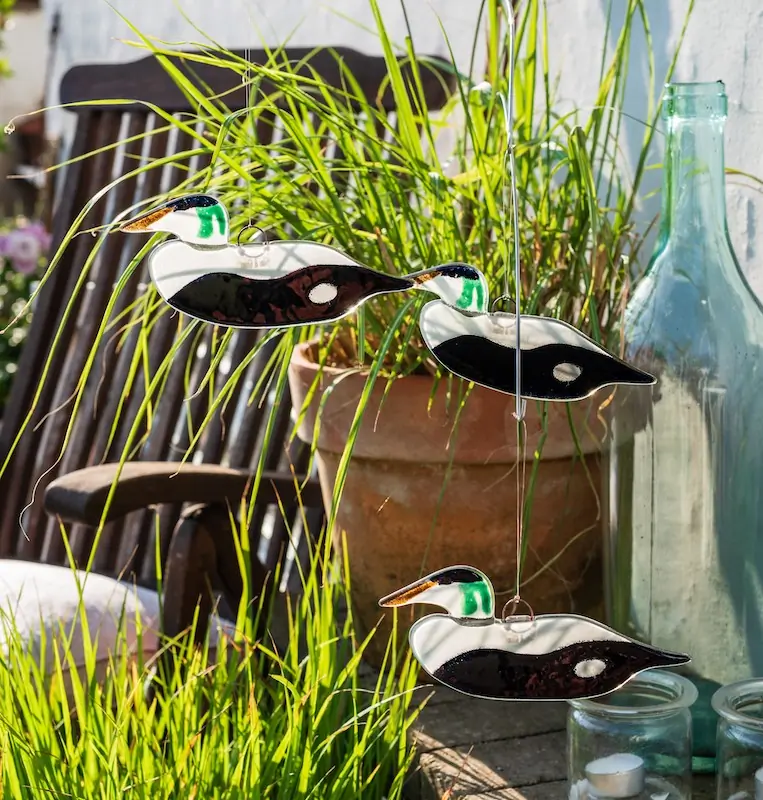 Eider (glass)