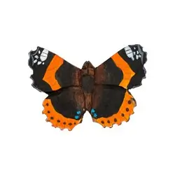 Magnet (red admiral)