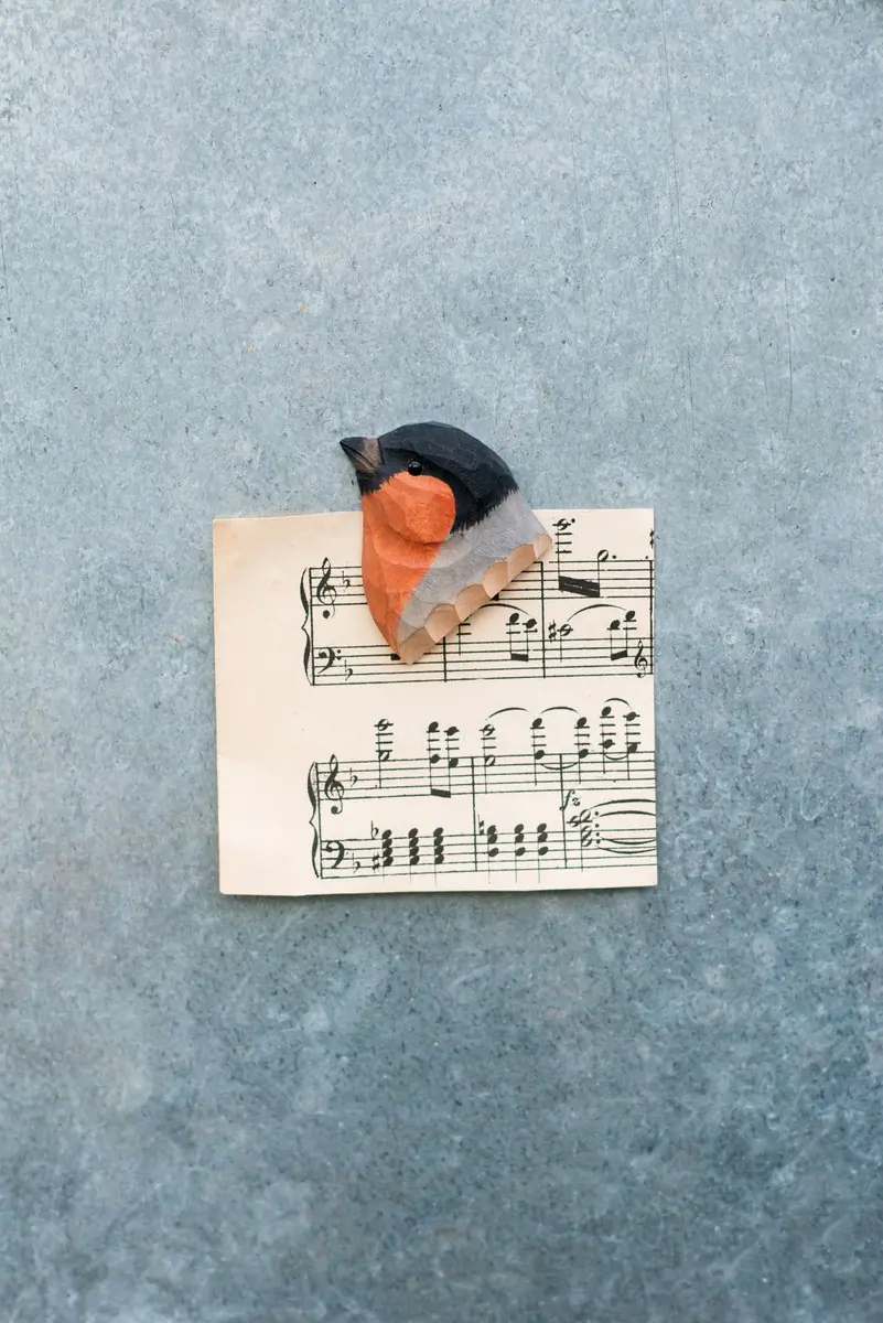 Magnet (bullfinch)