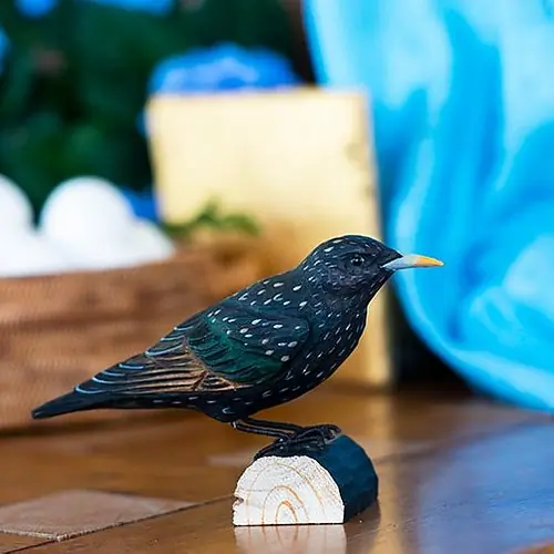 Starling (wood)