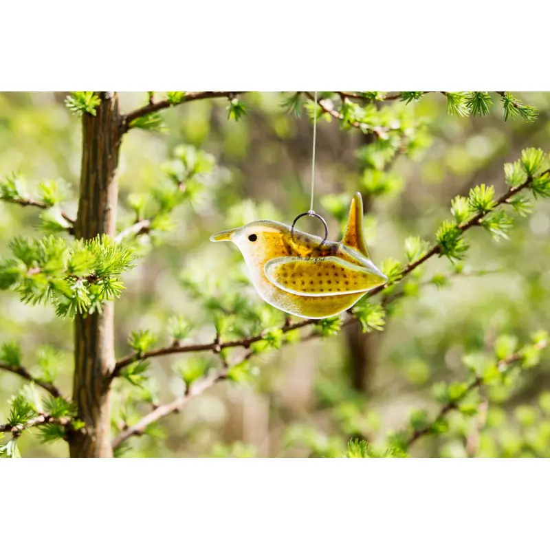 Wren (glass)