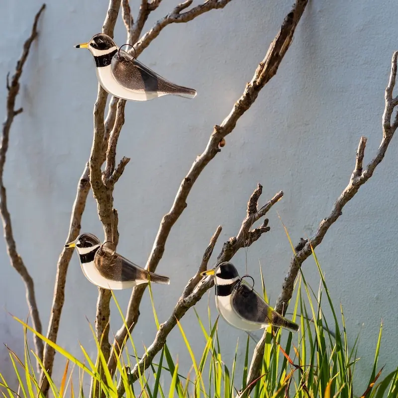 Ringed Plover (glass)