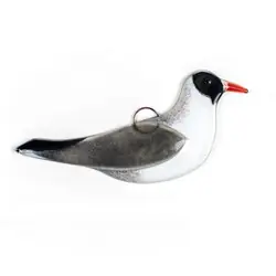 Black-headed Gull (glass)