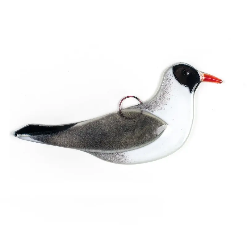 Black-headed Gull (glass)