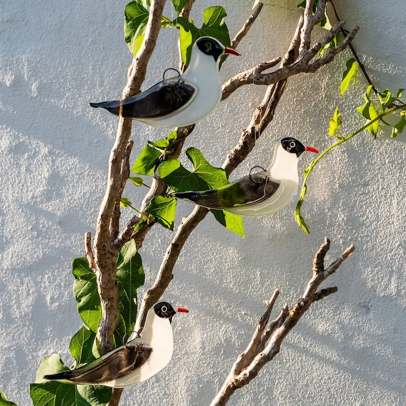 Black-headed Gull (glass)