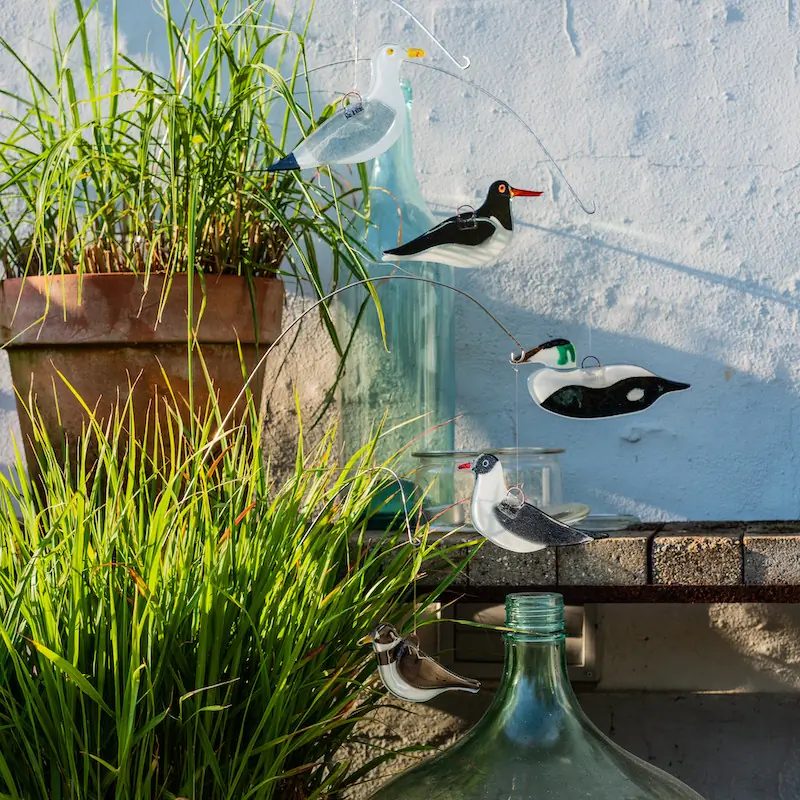 Black-headed Gull (glass)