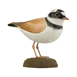 Little Ringed Plover (wood)