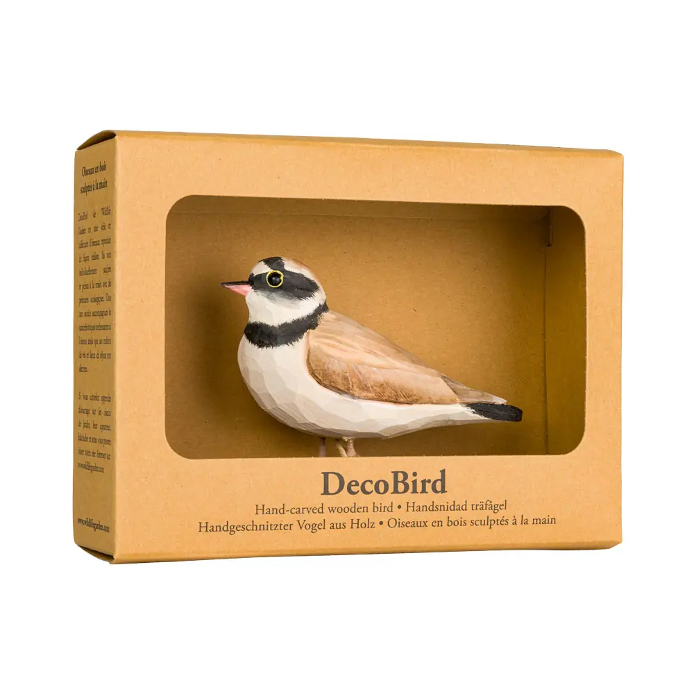 Little Ringed Plover (wood)