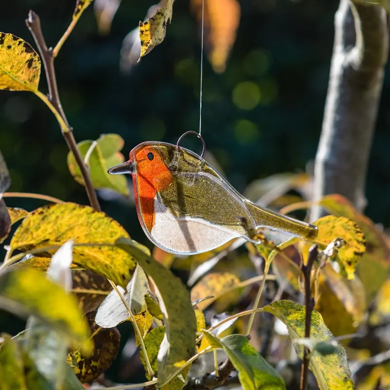 Robin (glass)