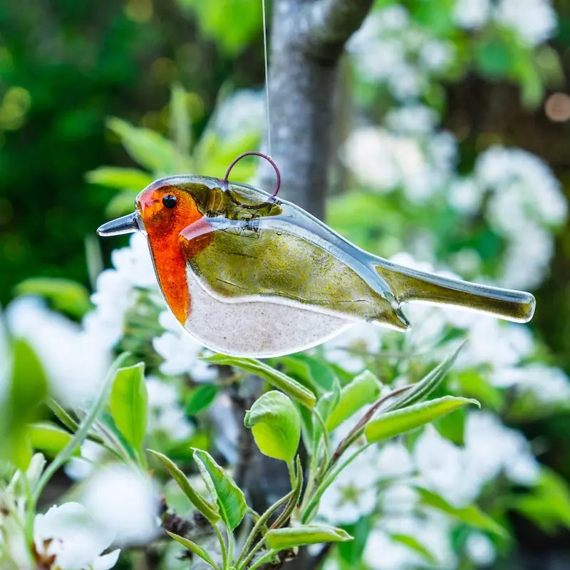 Robin (glass)