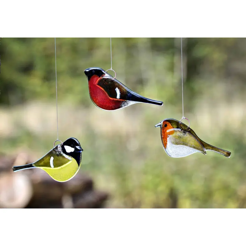 Robin (glass)