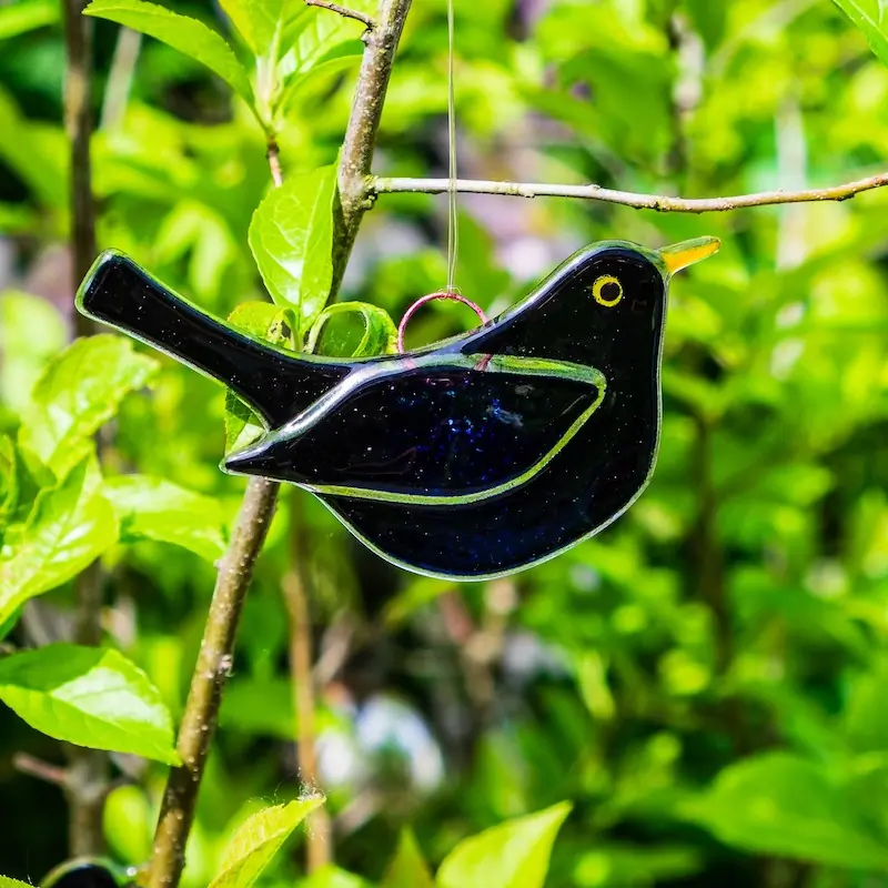 Blackbird - male (glass)